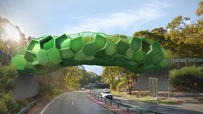 Artist impression of the proposed Burleigh koala bridge