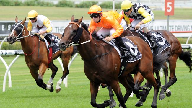 Tommy Berry on Darciwood.