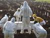 Graphic photos show country on the brink