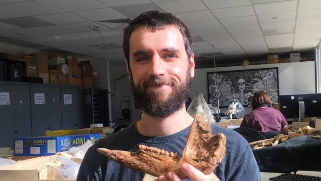 Dr Isaac Kerr holding a Protemnodon jawbone. Picture: Supplied/ FLinders University.