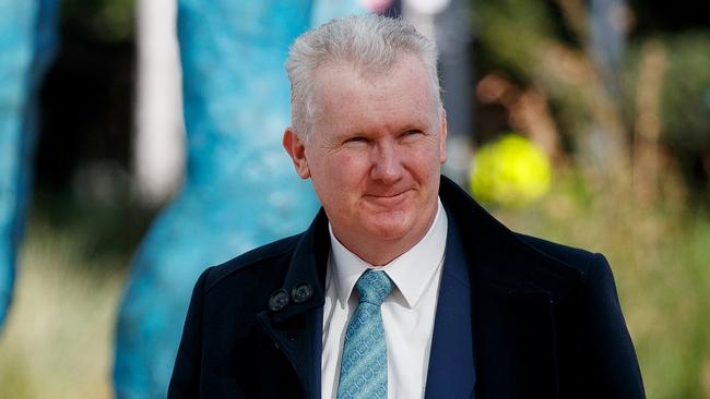 Industrial Relations Minister Tony Burke. Picture: NCA NewsWire/Nikki Short