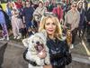 Fury as ‘no-kill’ Melbourne animal shelter faces the axe