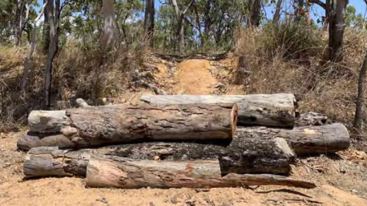 Mackay Regional Council discovered an extreme case of vegetation vandalism at Victor Creek Reserve off Finlaysons Point Rd, Seaforth. Picture: Mackay Regional Council