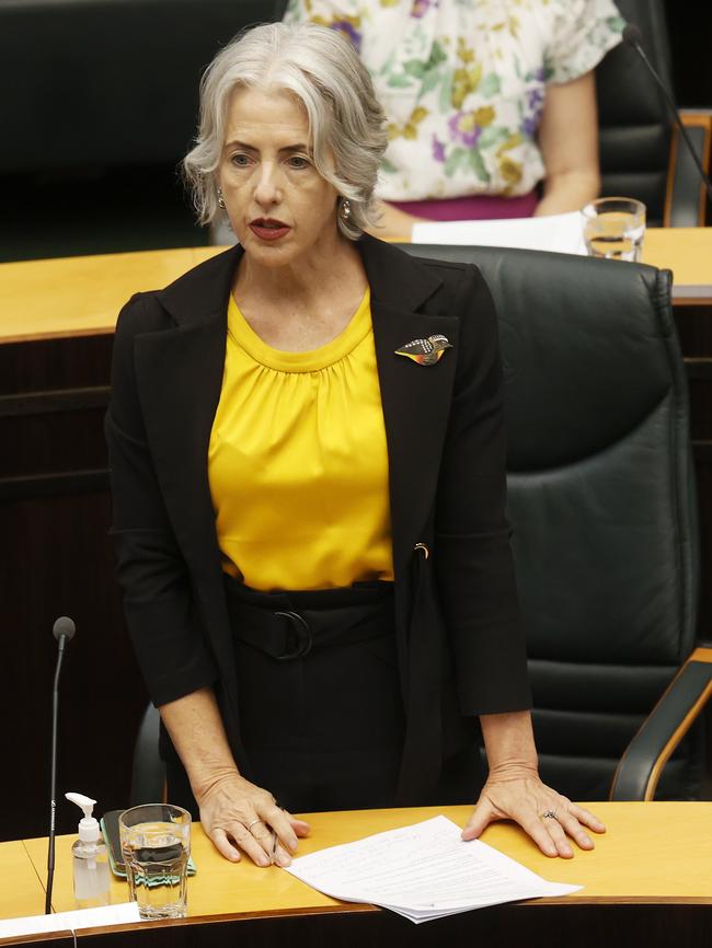 Greens leader Doctor Rosalie Woodruff. Picture: Nikki Davis-Jones