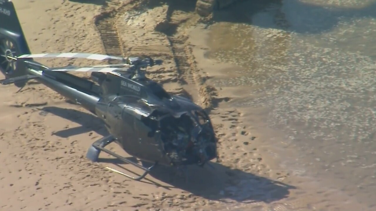 Gold Coast Sea World helicopter crash victim Nicholas Tadros