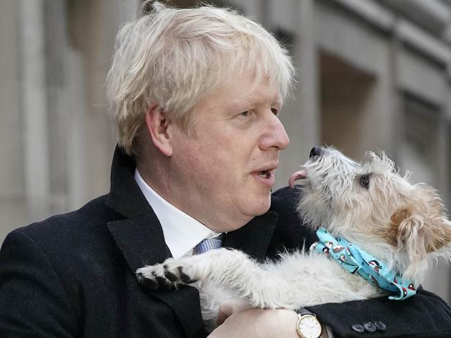 Prime Minister Boris Johnson poses outside Methodist Hall polling station as he casts his vote with dog Dilyn. Picture: Getty