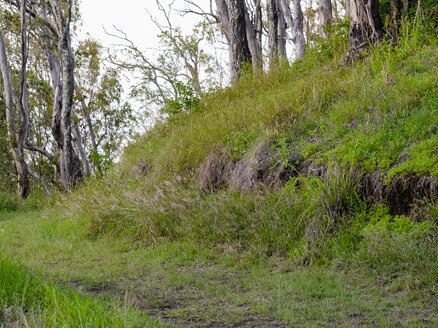 Council to close two trails as part of Toowoomba land repairs