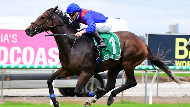 Annabel Neasham's Zaaki holds on to win the Group 2 Hollindale Stakes at the Gold Coast under jockey James McDonald, May 7 2022. Picture: Grant Peters-Trackside Photography,