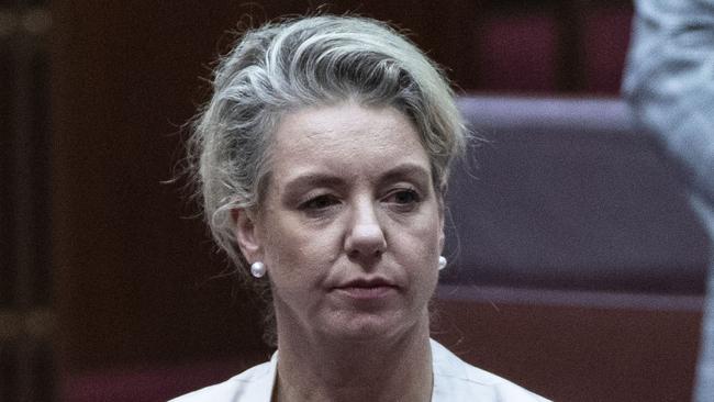 Senator Bridget McKenzie in the Senate chamber while the Senate select committee on the administration of sports grants was hearing from Sport Australia at Parliament House in Canberra. Picture Gary Ramage