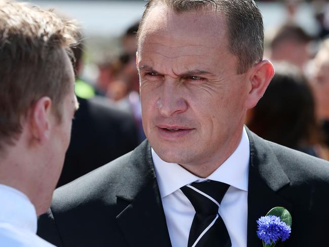 Chris Waller will have strong representation at the Rosehill trials. Picture: Ian Currie