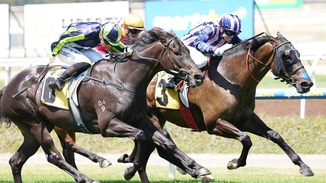 Modown ridden by Craig Williams wins the John Duff & Co Vobis Gold Bullion at Sportsbet Pakenham on December 21, 2024 in Pakenham, Australia. (Photo by Scott Barbour/Racing Photos via Getty Images)