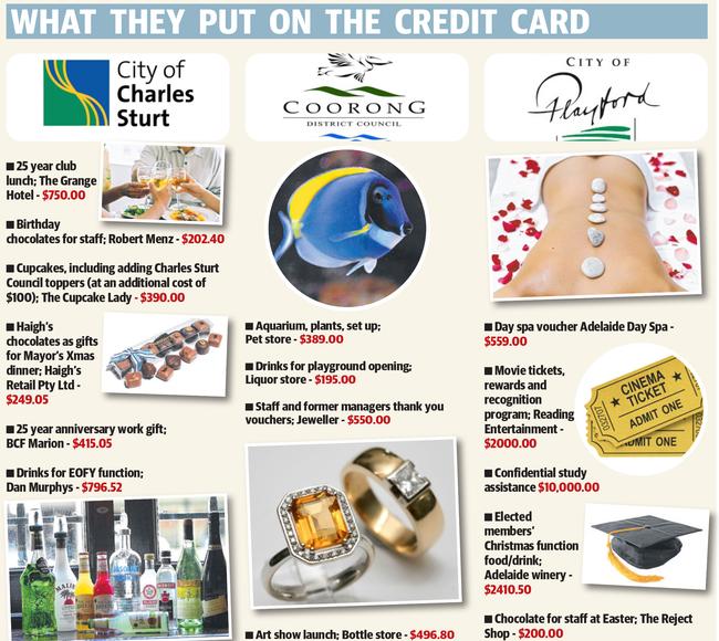 Three SA councils and some of their credit card spending.