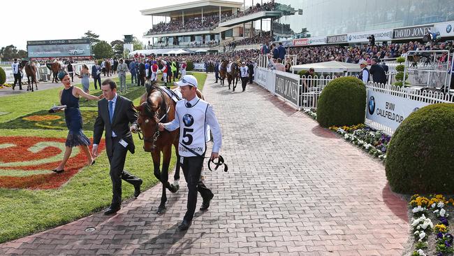 Sir Isaac Newton parades in the mounting yard before the Caulfield Cup. The import finished a solid seventh overall. Picture: Mark Stewart