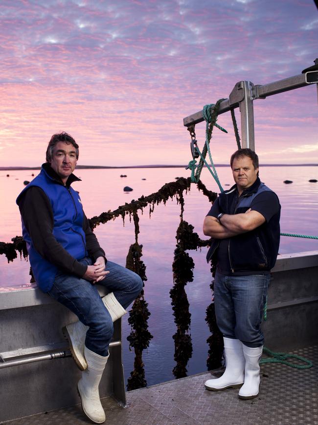 Mark Andrews, CEO of Eyre Peninsula Seafoods (left) and Andrew Puglisi, Executive Director of Eyre Peninsula Seafoods (right) are concerned about the plant.