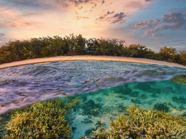 Split view (half-underwater) photograph featuring tropical sunset at heron Island and corals with marine life