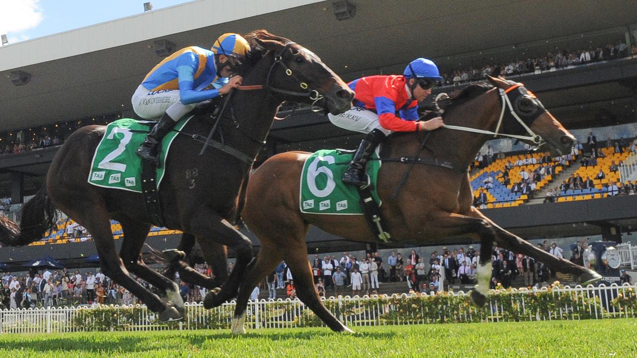 One punter chased in big time when Kool Vinnie powered home to win at Rosehill Gardens. Picture: AAP
