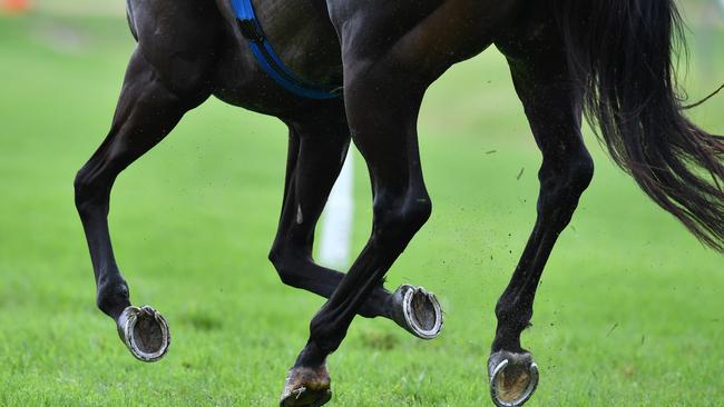 A close up of a racehorses hooves. (AAP Image/Darren England)