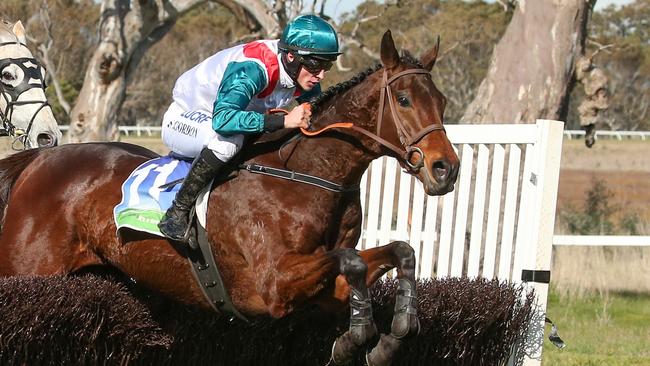 Historic, the last horse by Zabeel, will be retired after Thursday’s Grand Annual Steeplechase. Picture: Pat Scala/Racing Photos via Getty Images