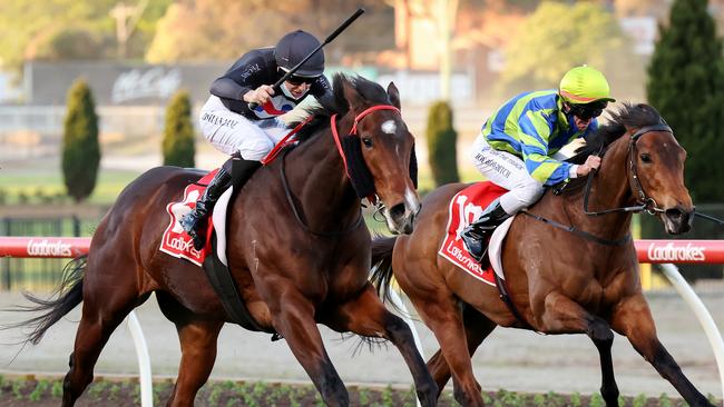 Damian Lane rides Ballistic Lover to victory at the Valley. Picture: Racing Photos via Getty Images