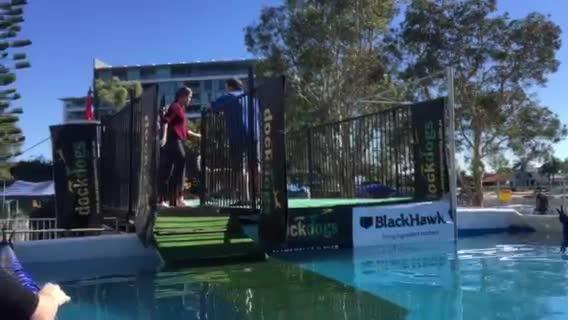 Dogs have fun at the Gold Coast Pets Expo