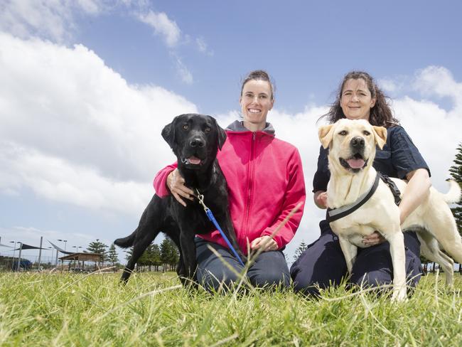 Adelaide University Project Lead Investigator Dr Anne-Lise Chaber with Australian Border Force Detector Dog Handler Lisa Saunders with dogs Quake and Xena. Picture Simon Cross