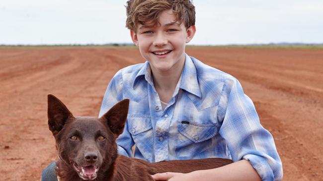 Red Dog: True Blue — Stenders’ outback canine hero returns | The Australian