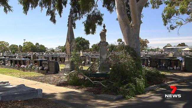 An elderly man was been rushed to hospital after he was struck by a falling tree branch at the Cheltenham Cemetery. Picture 7NEWS