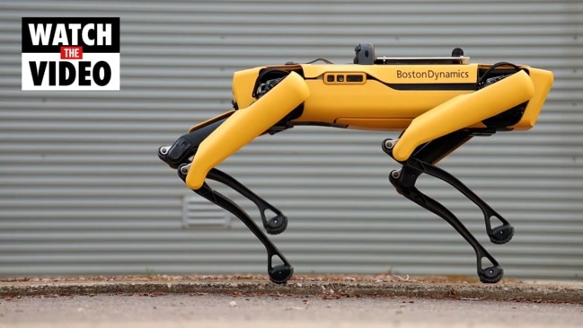 Meet SAPN's Boston Dynamics robot dog, Spot