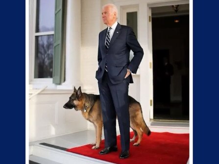 Joe Biden and his dog, Major. Picture: Instagram