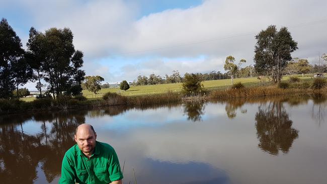 Sticky situation: University of Tasmania agricultural science PhD student Joseph Hartley at rice trials on his family farm on the Tasman Peninsula.