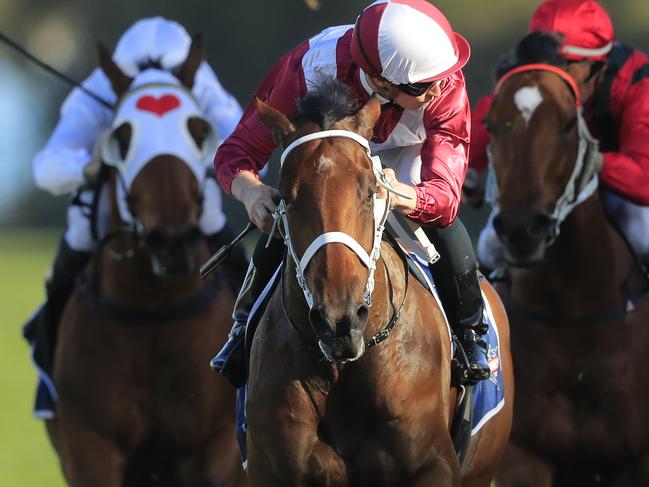 James McDonald looks over his shoulder as Arcadia Queen romps to victory.