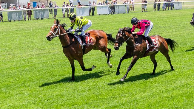 Dobbinair showed an electric turn of foot in the second at Murray Bridge. Picture: Makoto Kaneko