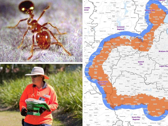 A notorious pest could cause up to six deaths, lead to 116,000 medical visits and cost households $118m a year if allowed to spread uncontrolled across one Aussie state, a bombshell report has found.