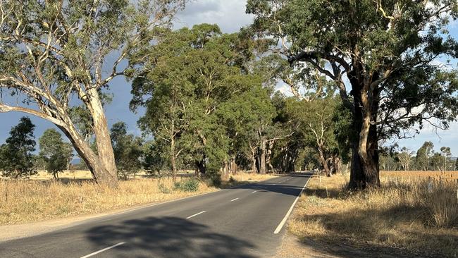 A driver died after crashing into a tree on Avenel-Nagambie Rd on Sunday morning.