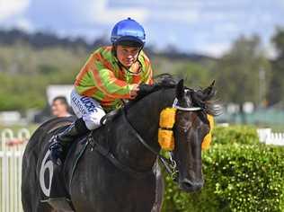 Jockey Jason Taylor relaxes after riding Shauquin to victory at Ipswich racetrack. Picture: Cordell Richardson