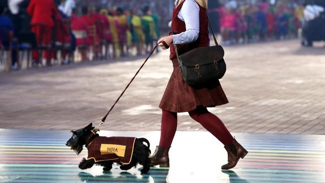 Some of the Scottish Terriers in the opening ceremony were less than well-behaved.