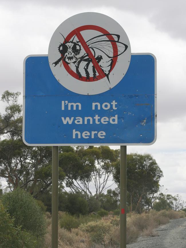 A fruit fly quarantine warning sign in the Riverland, where vehicles are regularly inspected.