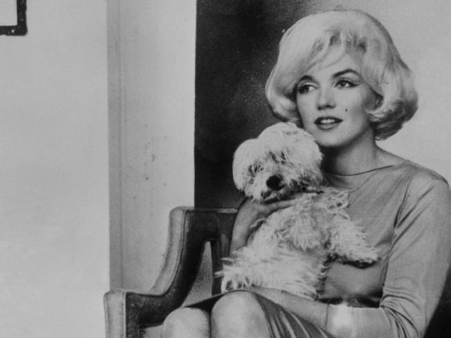 Book reveals how an ordinary young Norma Jean became the iconic Marilyn ...