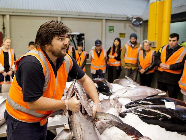 Alex Stollznow shows what Sydney Fish Market has to offer over winter. Picture: James Horan