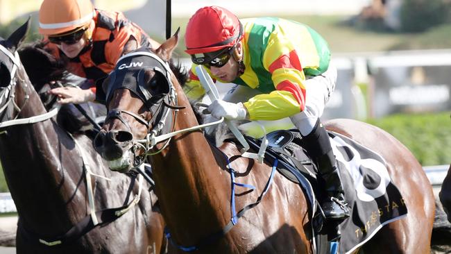 Liapari can bounce back to winning form at Warwick Farm.