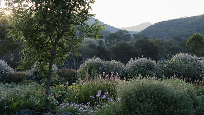 When you have a view you enjoy in the distance, design your planting plan to frame, rather than compete with it