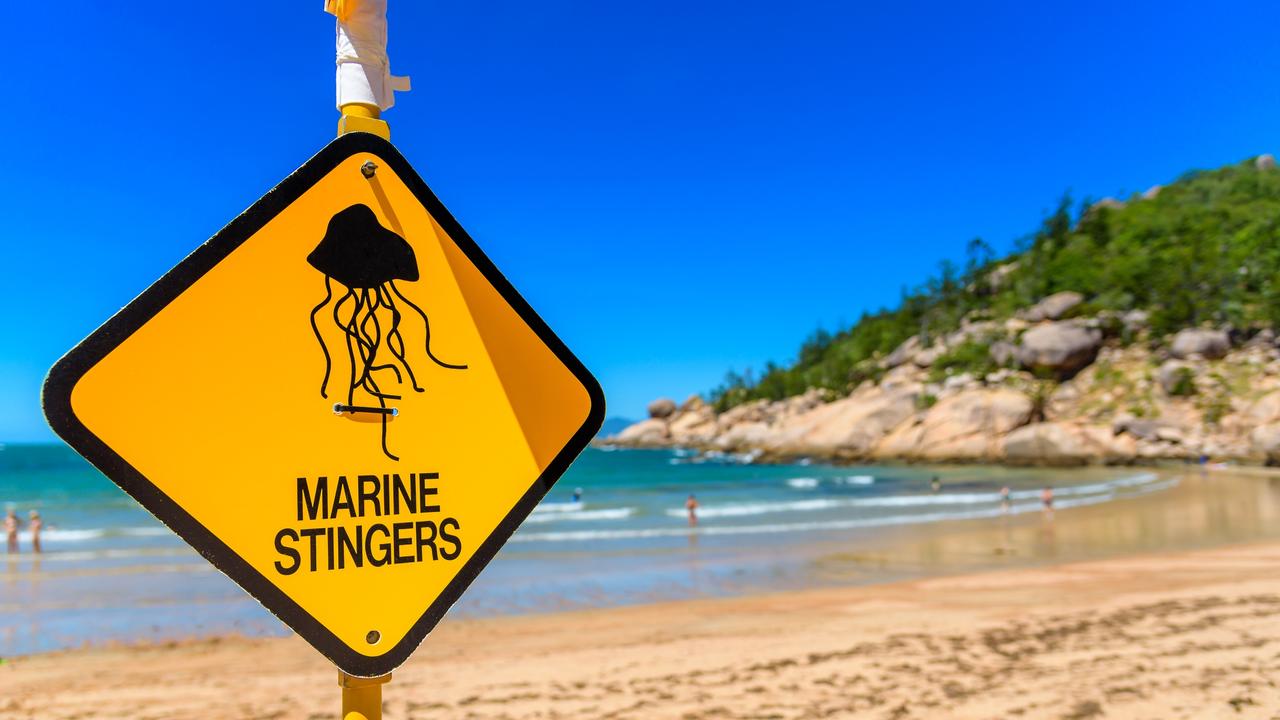 From November to May, warnings are issued for poisonous sea stings in Kugari and other parts of Queensland.