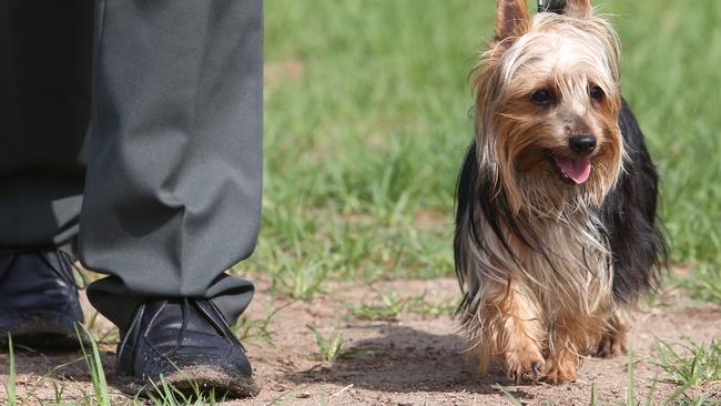 Dog owners are being warned to be careful after rat baits were seen near an off-leash park.