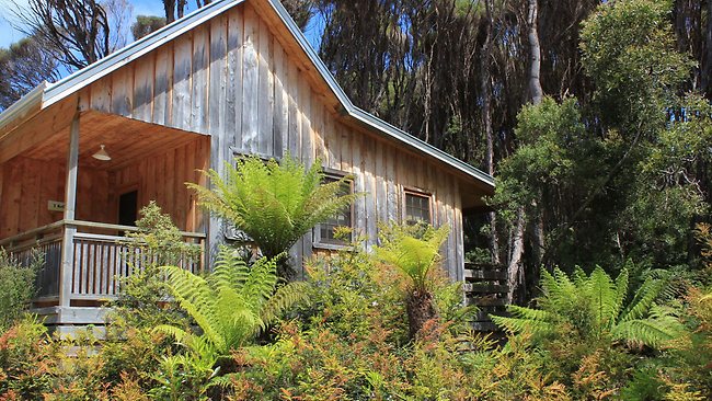 tarkine wilderness jan 19 escape