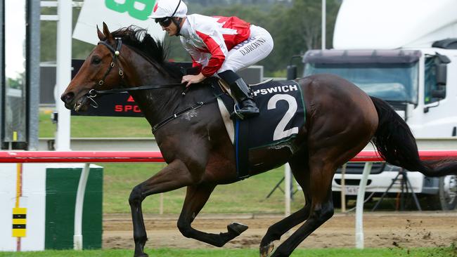 Can they do it again? Maurus and jockey Damian Browne make easy work of the Ipswich Cup. Picture: Liam Kidston