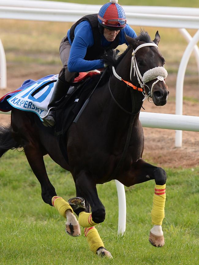 Racehorse Kaspersky stretches out. Picture: AAP