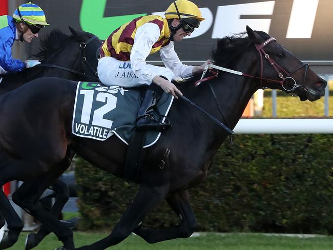 South Australian Derby winner Volatile Mix is in line for a Queensland Derby start if he can make the trip. Picture: Calum Robertson