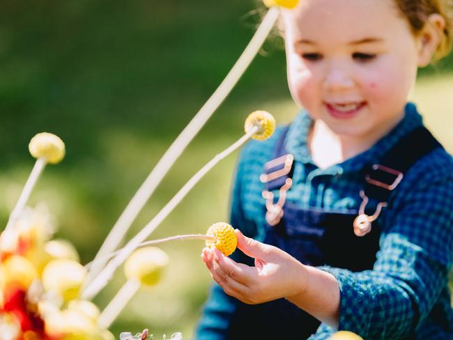 Up close: Gigi inspects some of the flowers. Picture: Chloe Smith