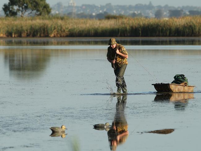 Duck shooting opening at Hospital Swamp near Geelong. Picture: Alison Wynd