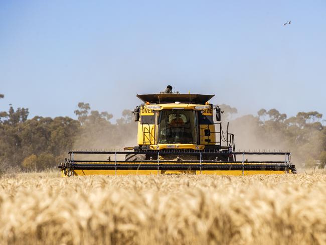 NEWS: Wheat Harvest Craig Stone NeilboroughPICTURED: Generic farm. Wheat Harvest. Grain. Harvesting. Crop. Stock Photo.Picture: Zoe Phillips